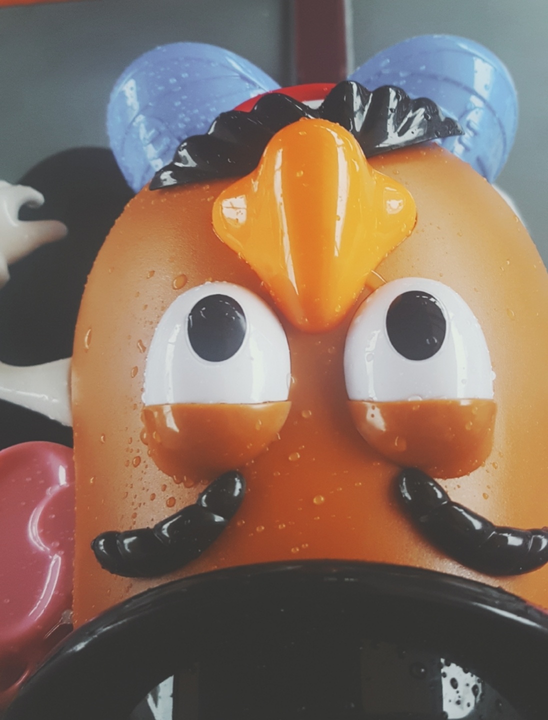 포떼또찝