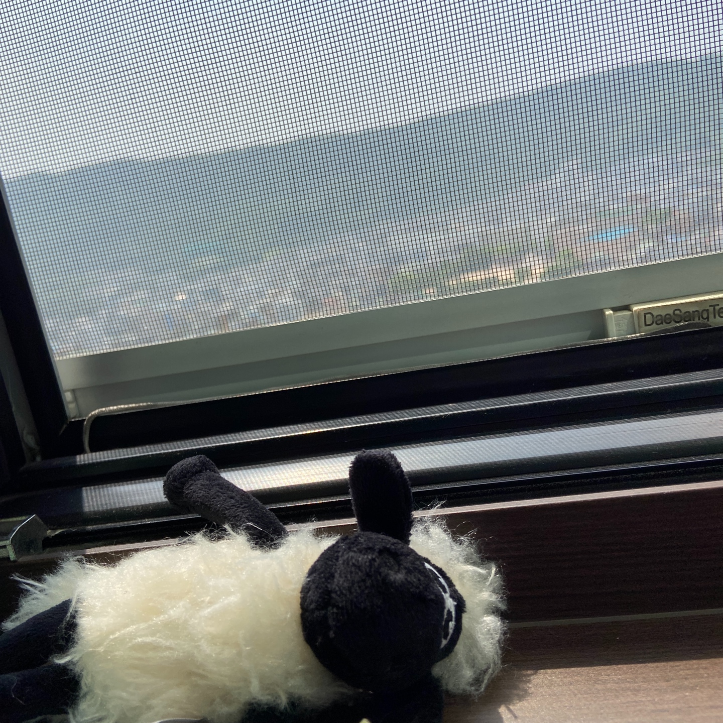 광합성