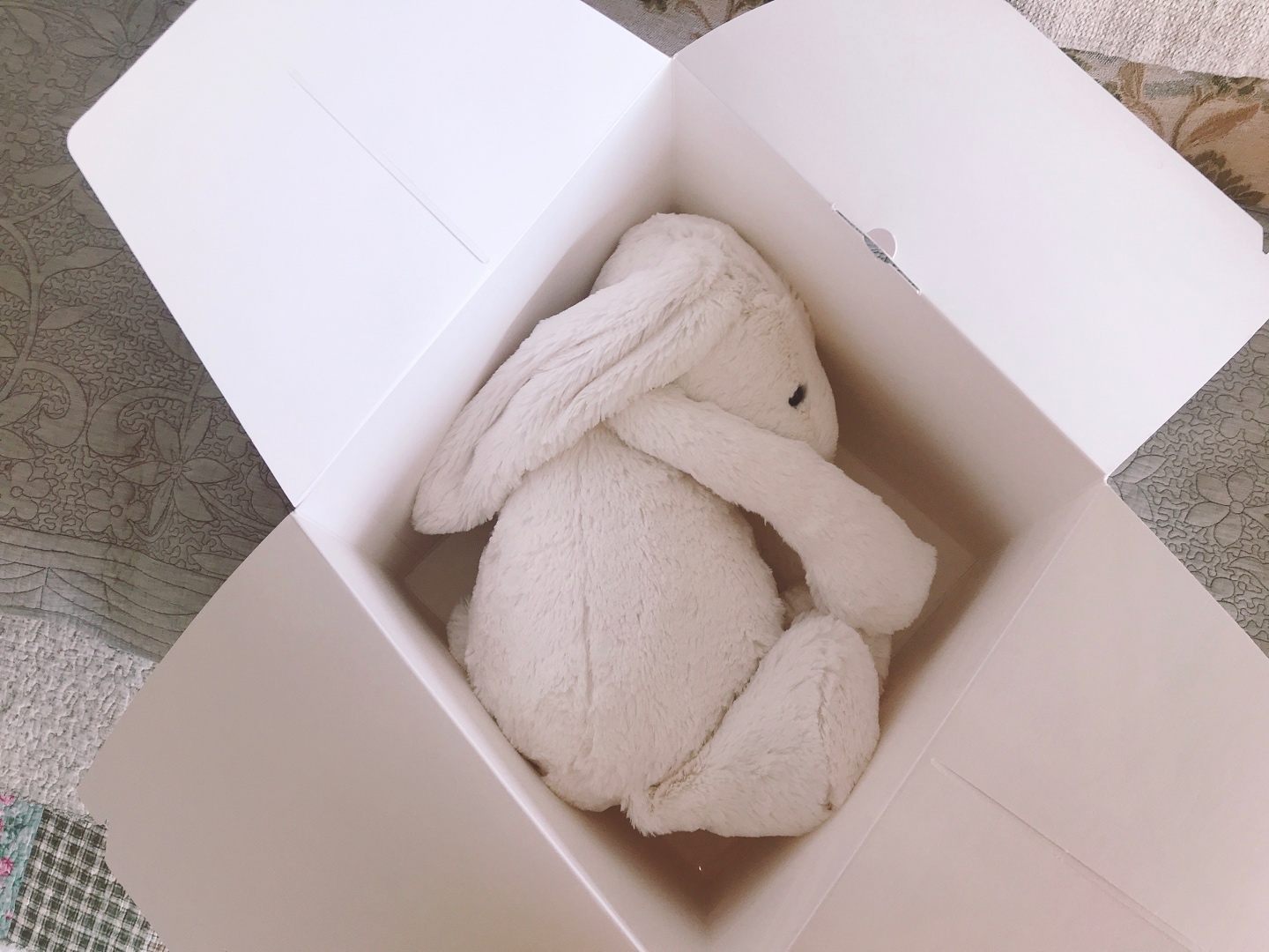 젤리켓💕