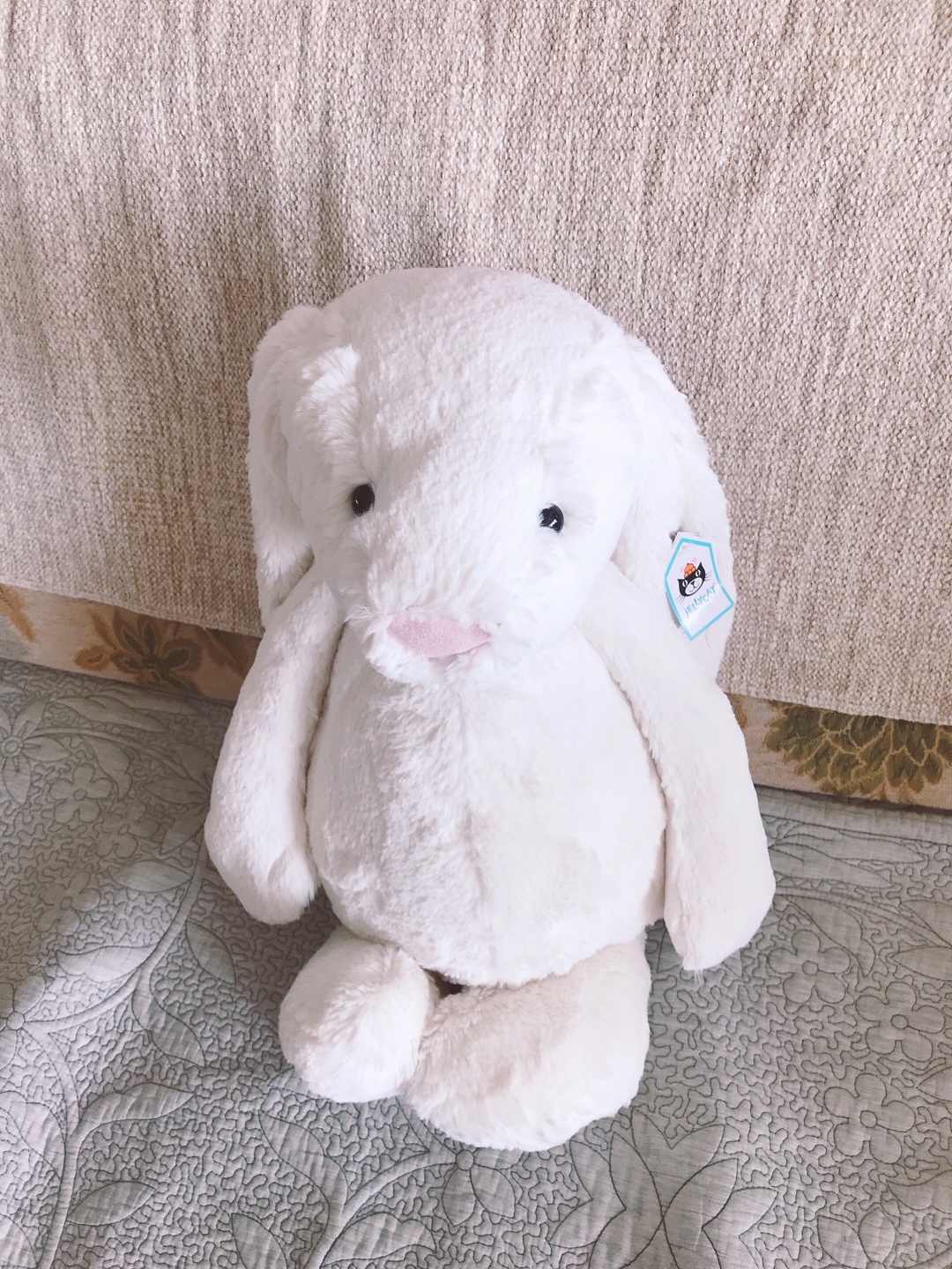 젤리켓💕