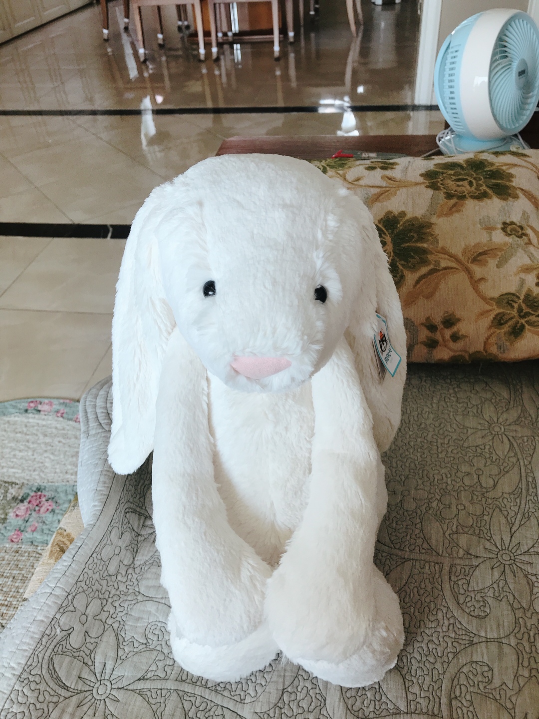 젤리켓💕