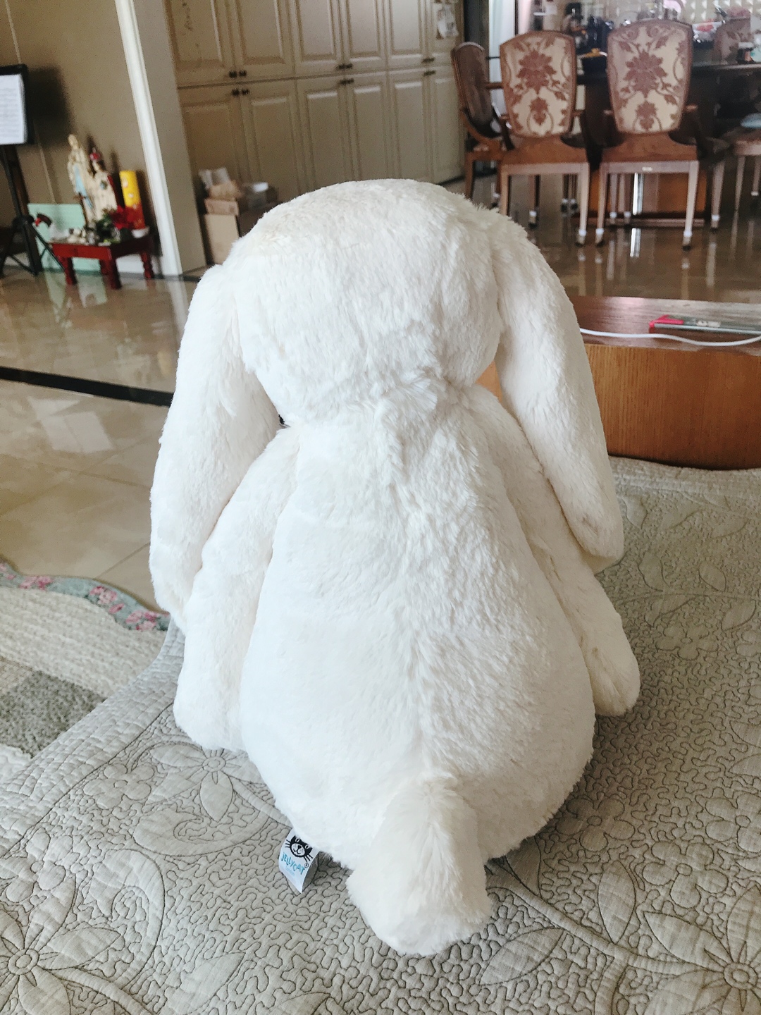 젤리켓💕