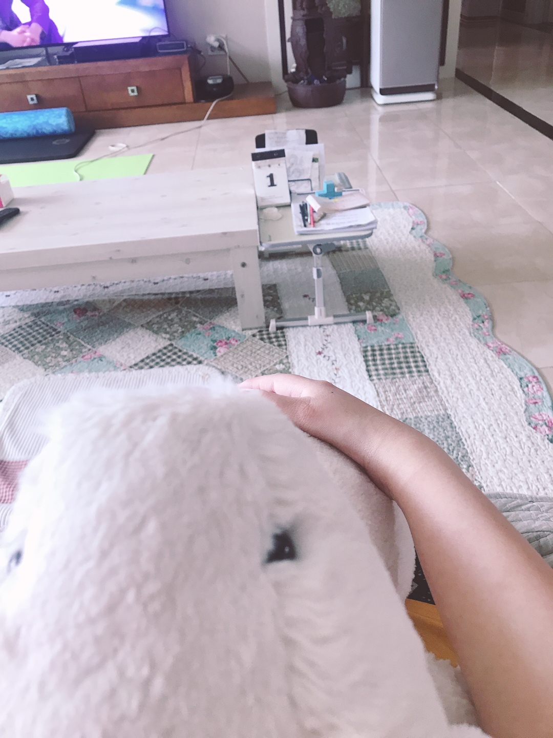 젤리켓💕