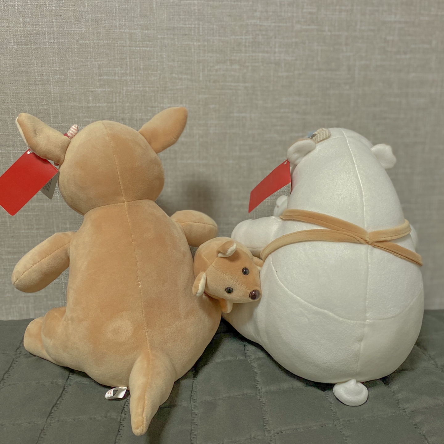 캥거루인형과 북극곰인형 🧸