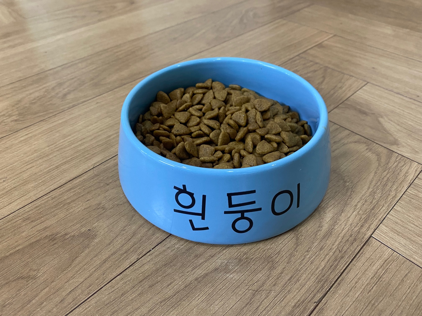 우리집 개밥그릇