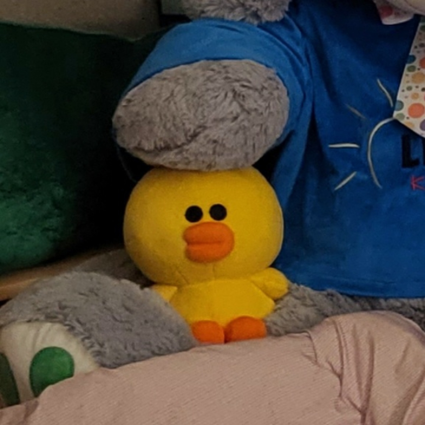 샐리