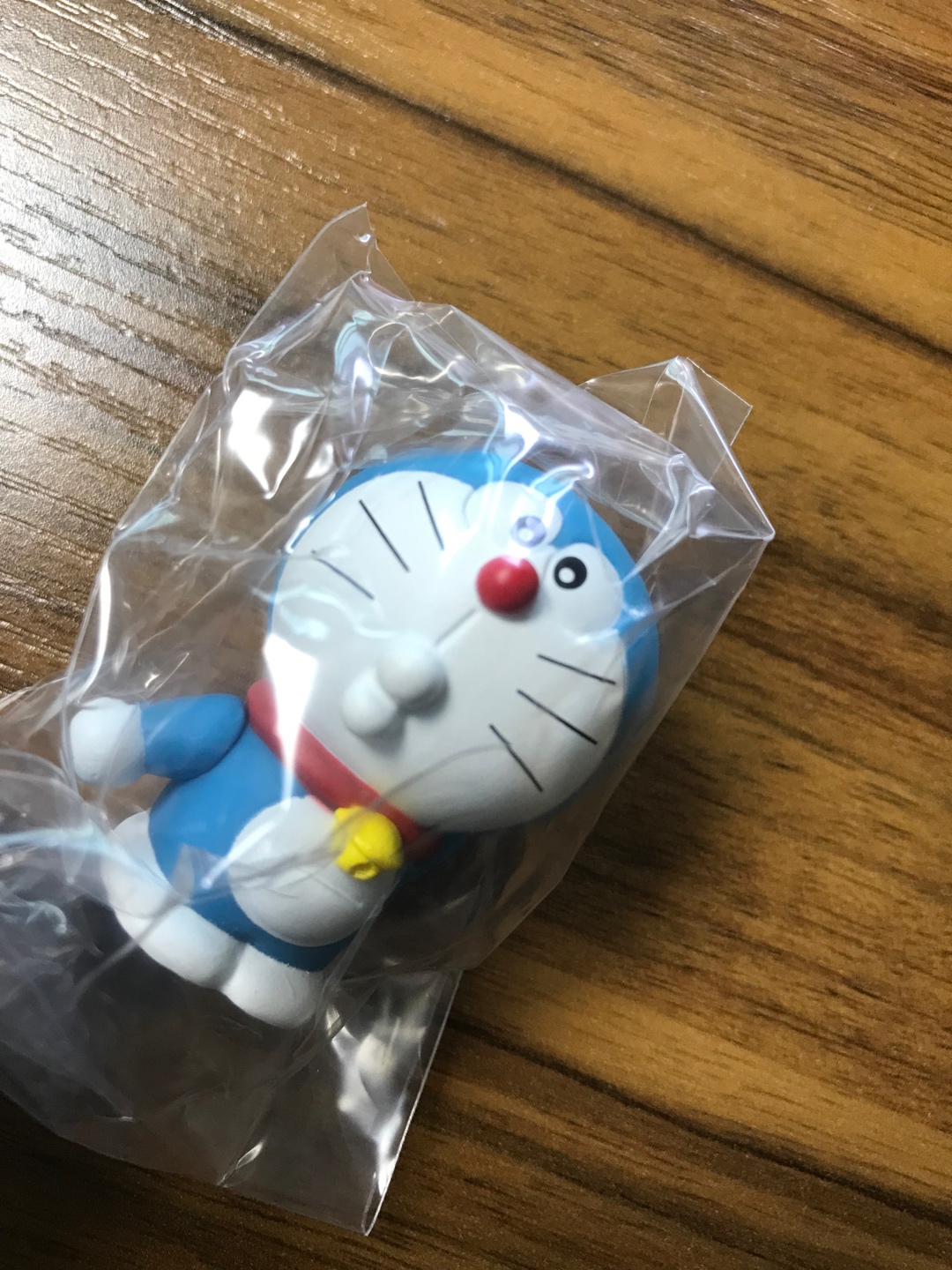콜리 랜덤 선물 도착!