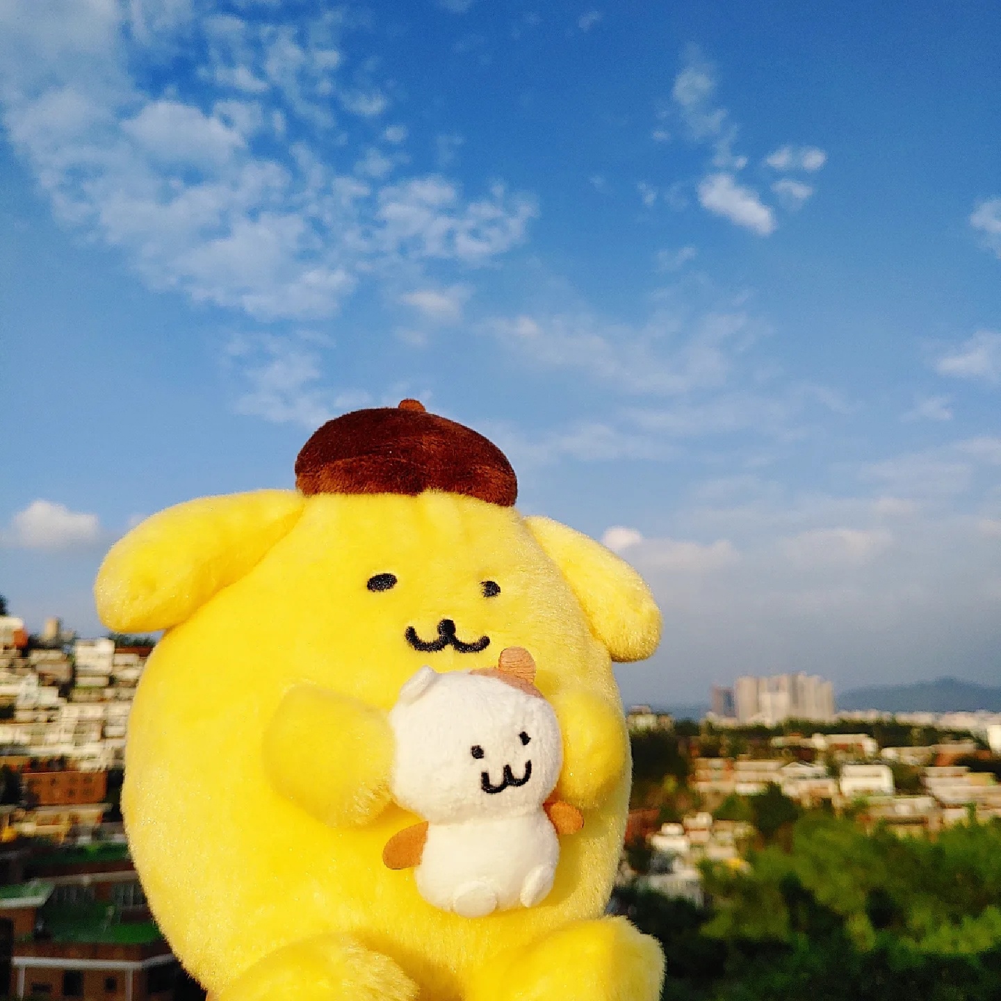 머핀이를 서울구경 시켜주는 푸린이!