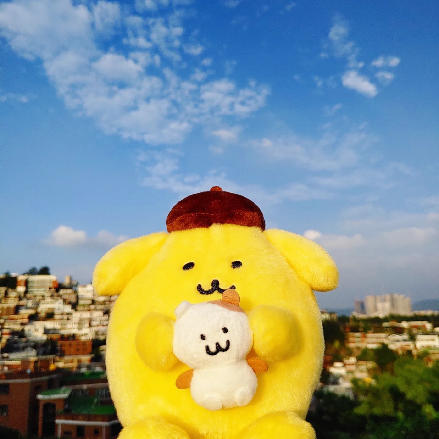 머핀이를 서울구경 시켜주는 푸린이!