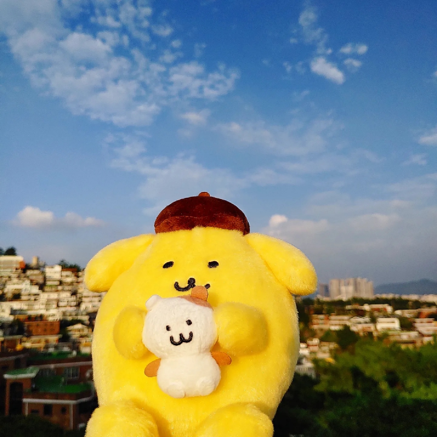 머핀이를 서울구경 시켜주는 푸린이!