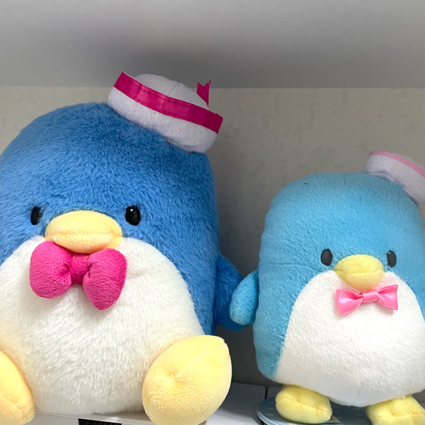 🤍요즘 푹 빠져있는 턱시도샘💙💞💘