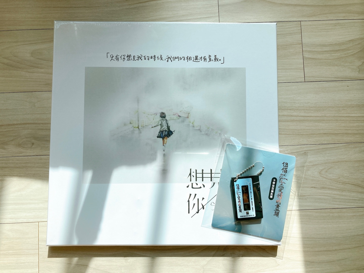 아기다리고기다리던 상견니LP❤️