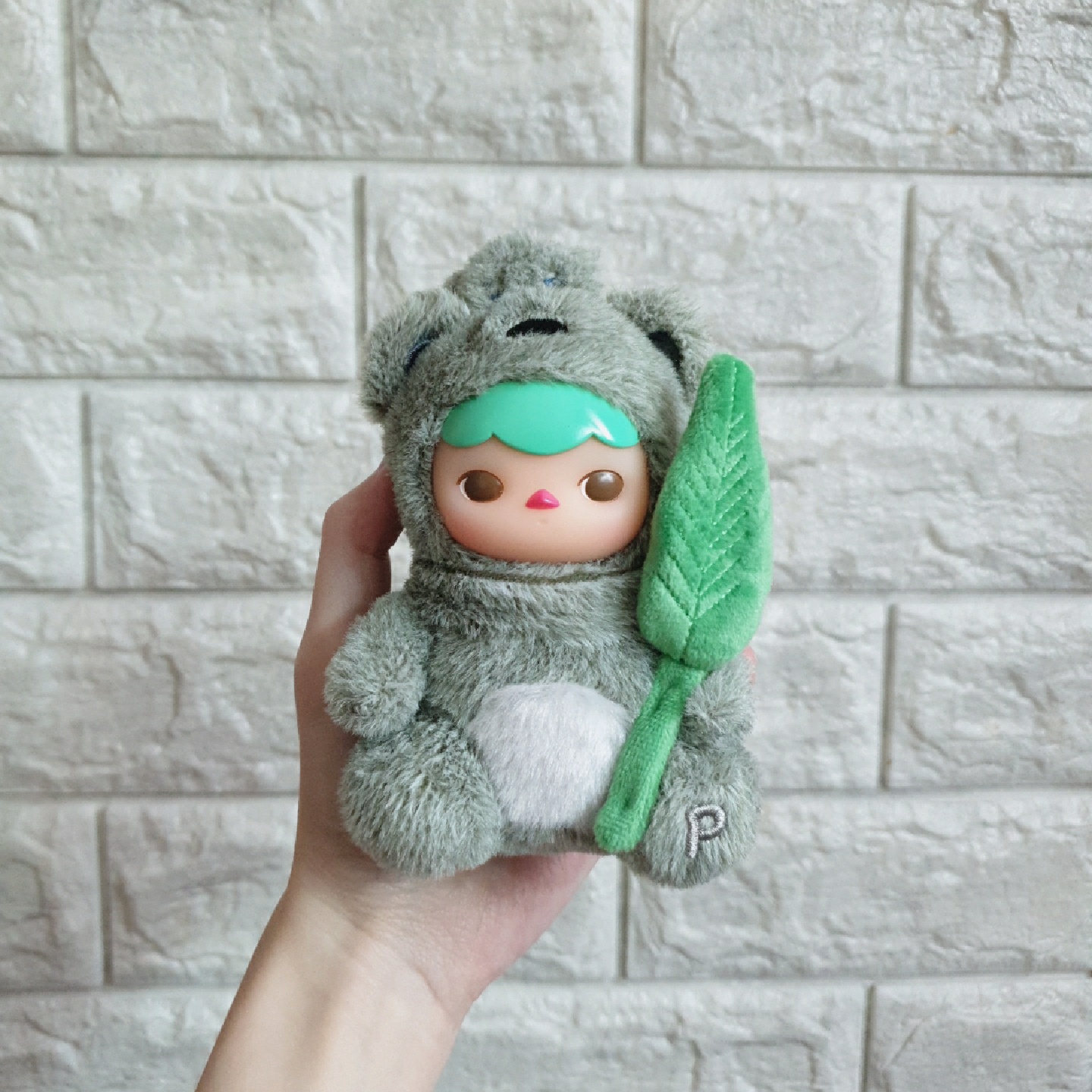 푸키 베어 플래닛 🐨🌿
