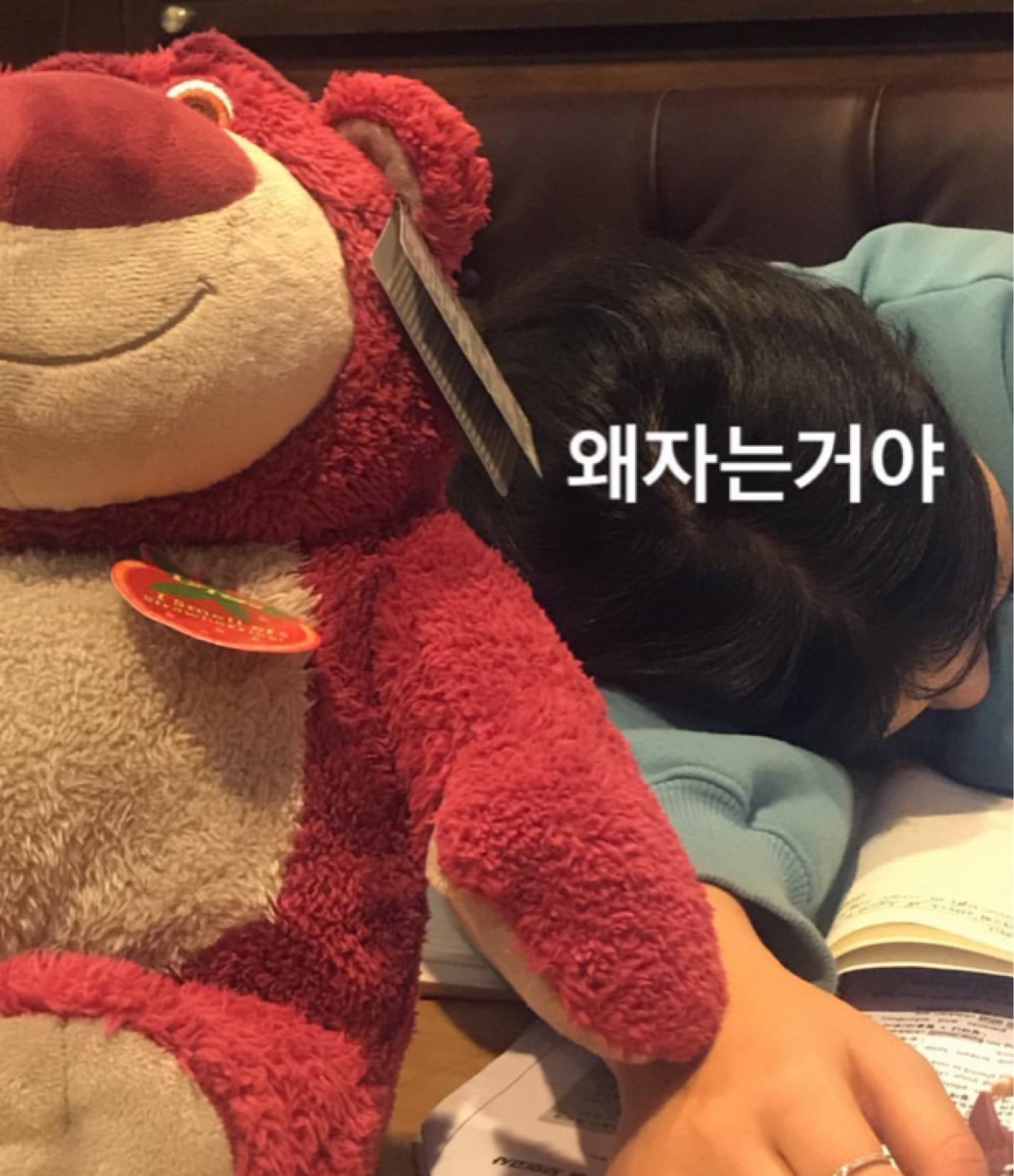 랏소와 사촌동생