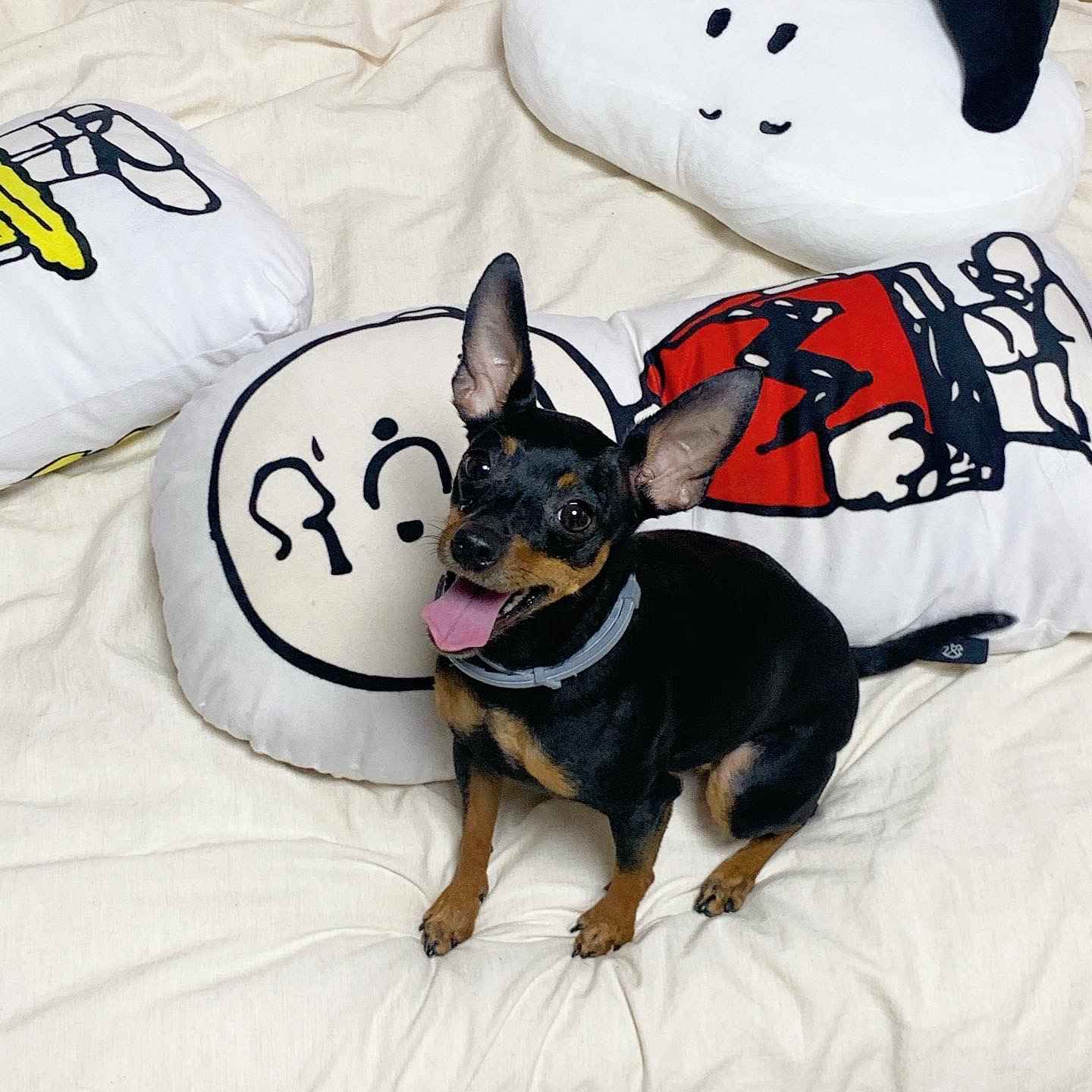 스누피