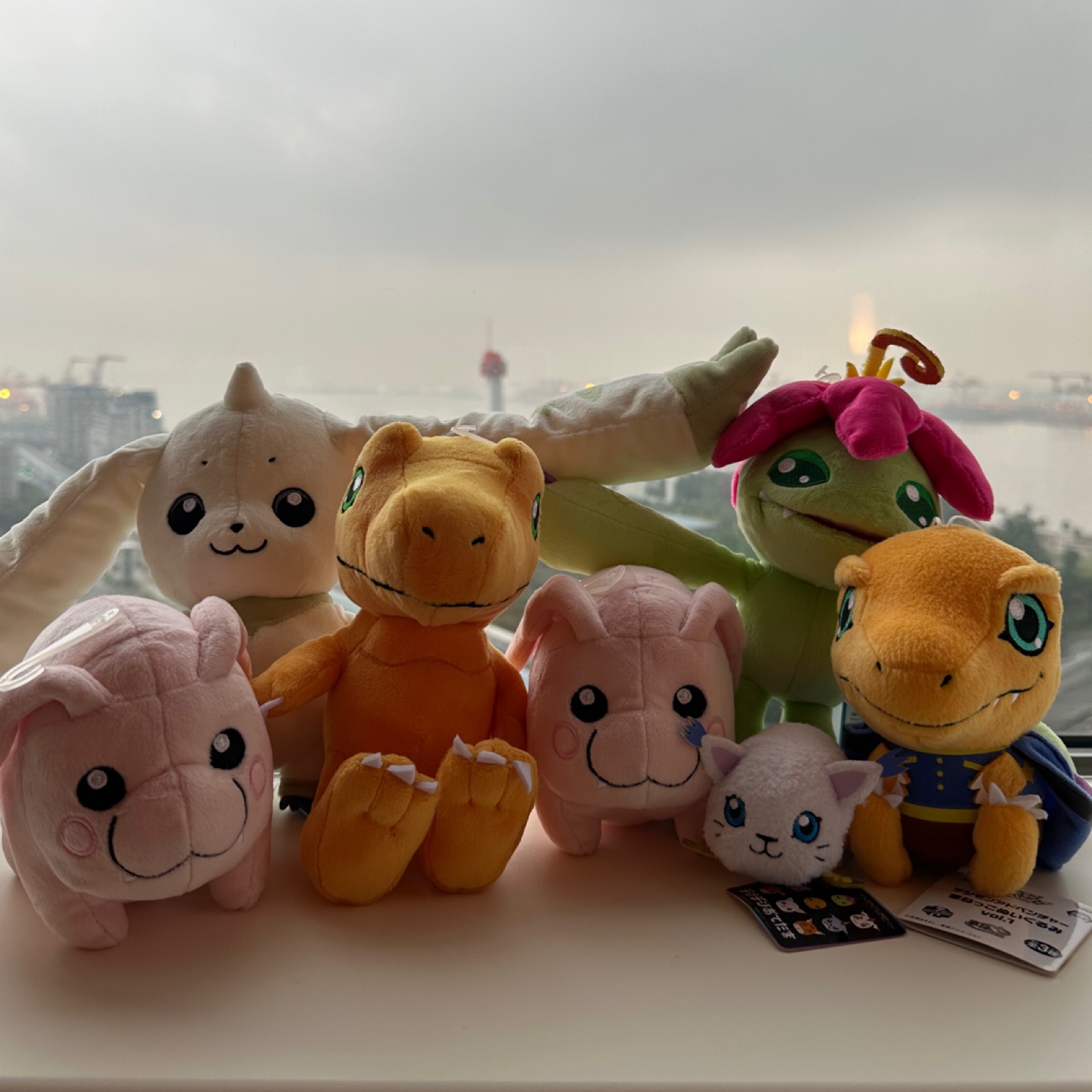 디지몬🧡