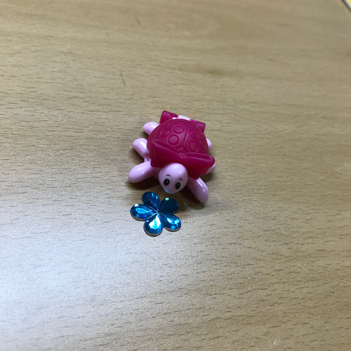🐢거북이 피규어💗