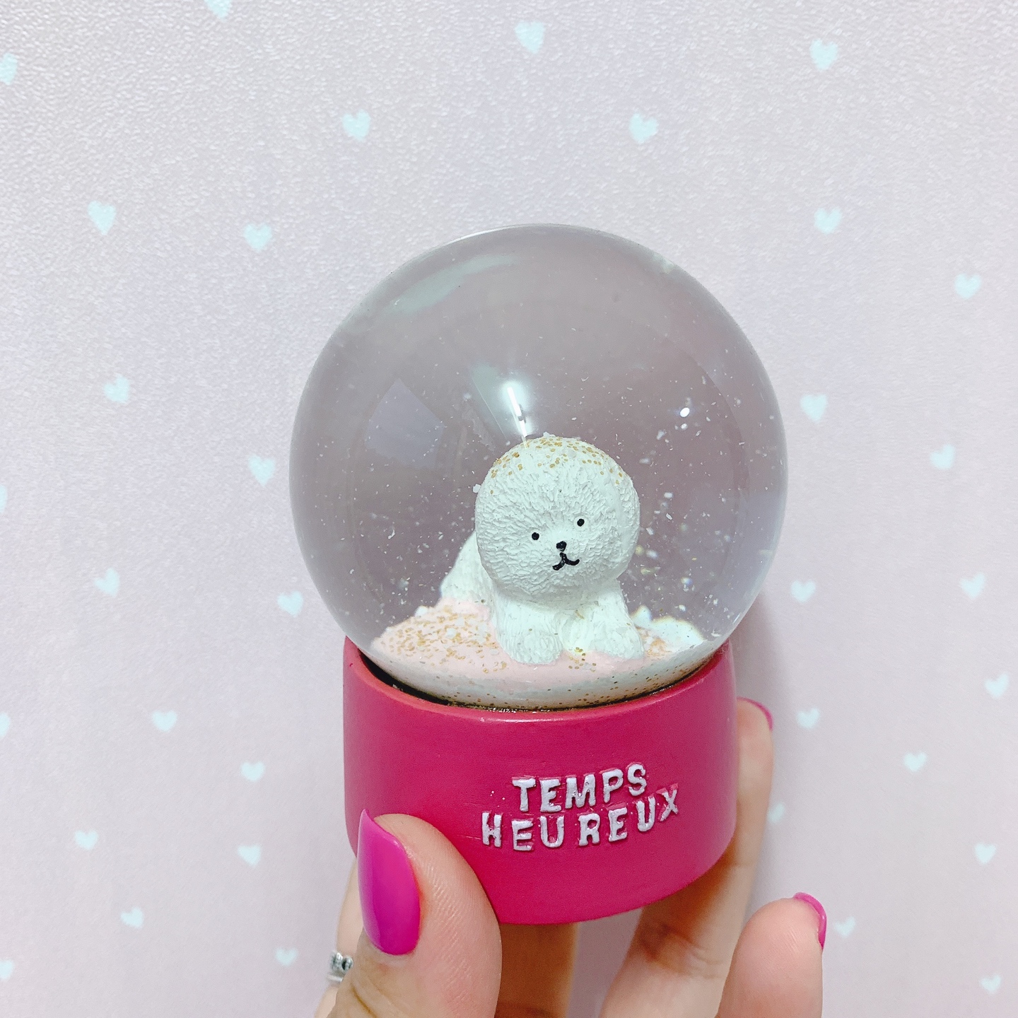 비숑 워터볼🐳