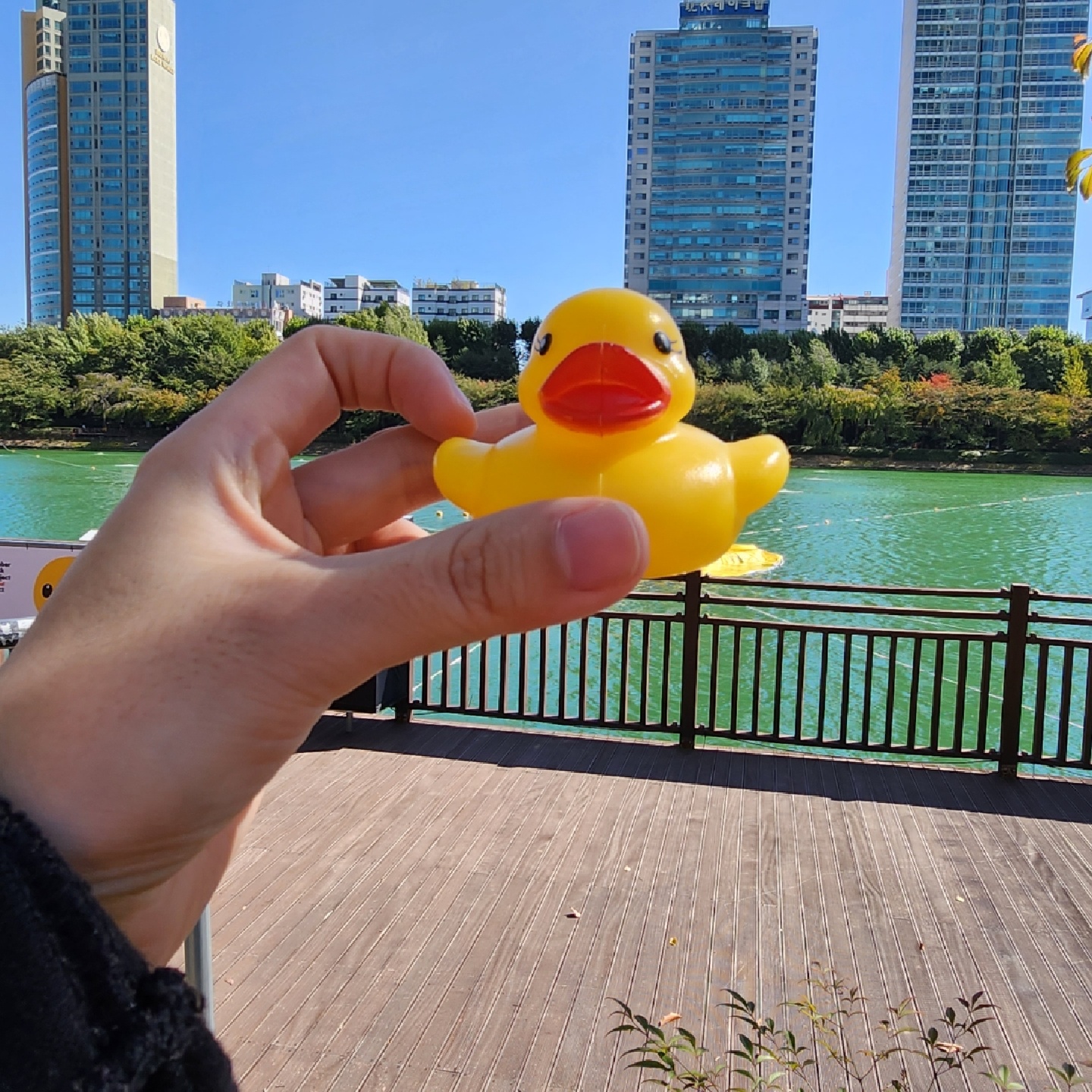 러버덕🐤