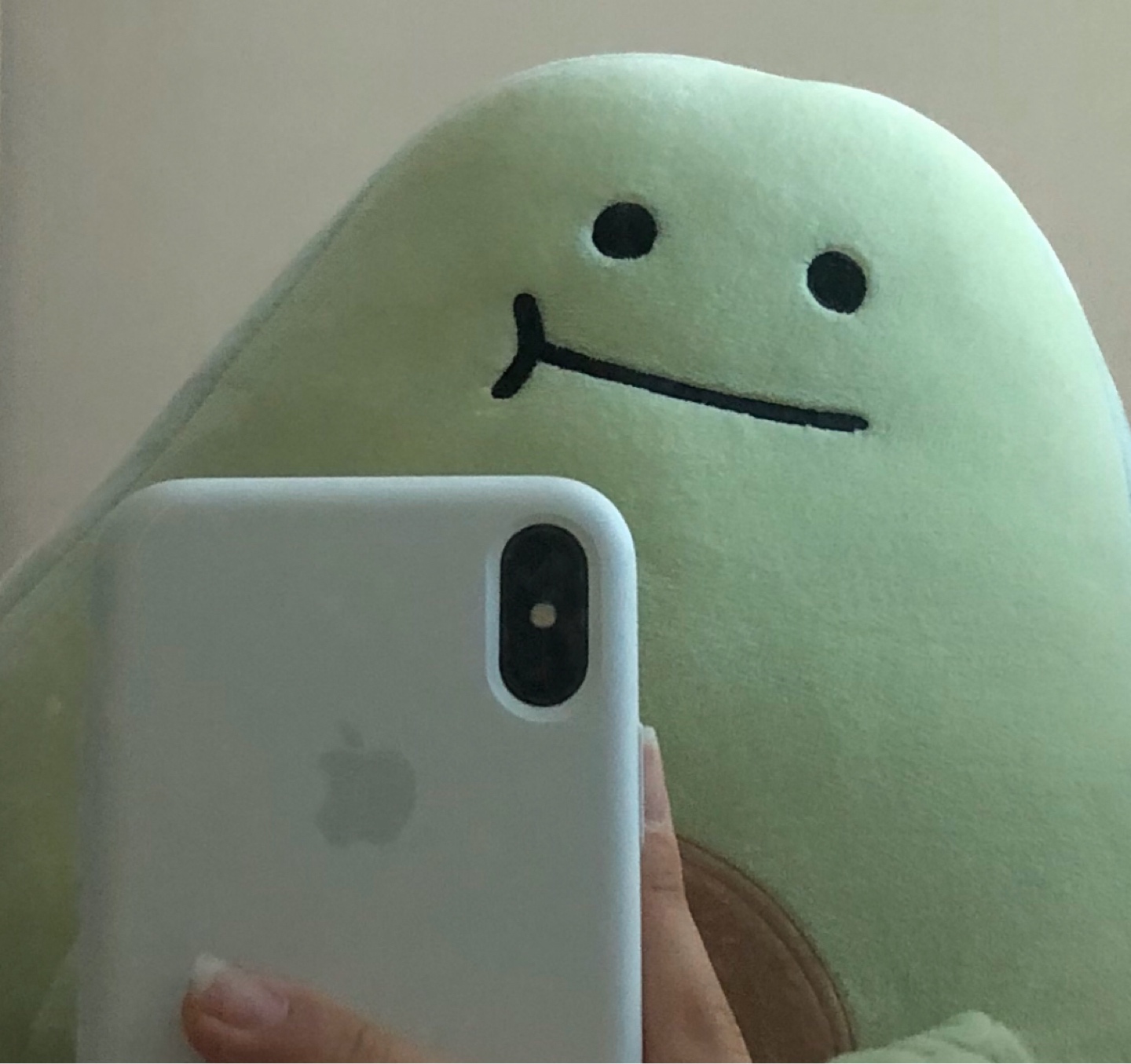 아보카도 인형