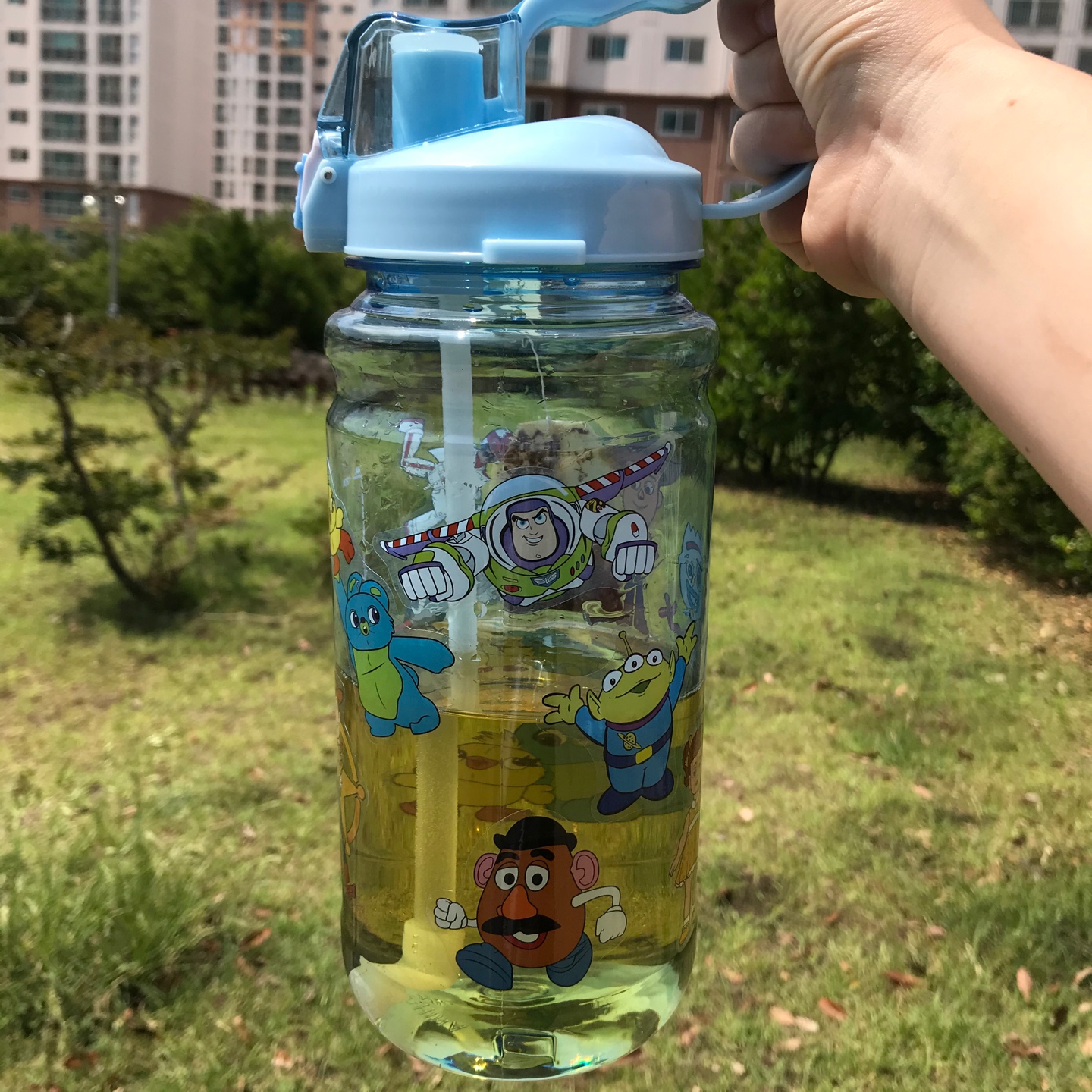 보리보리보리차