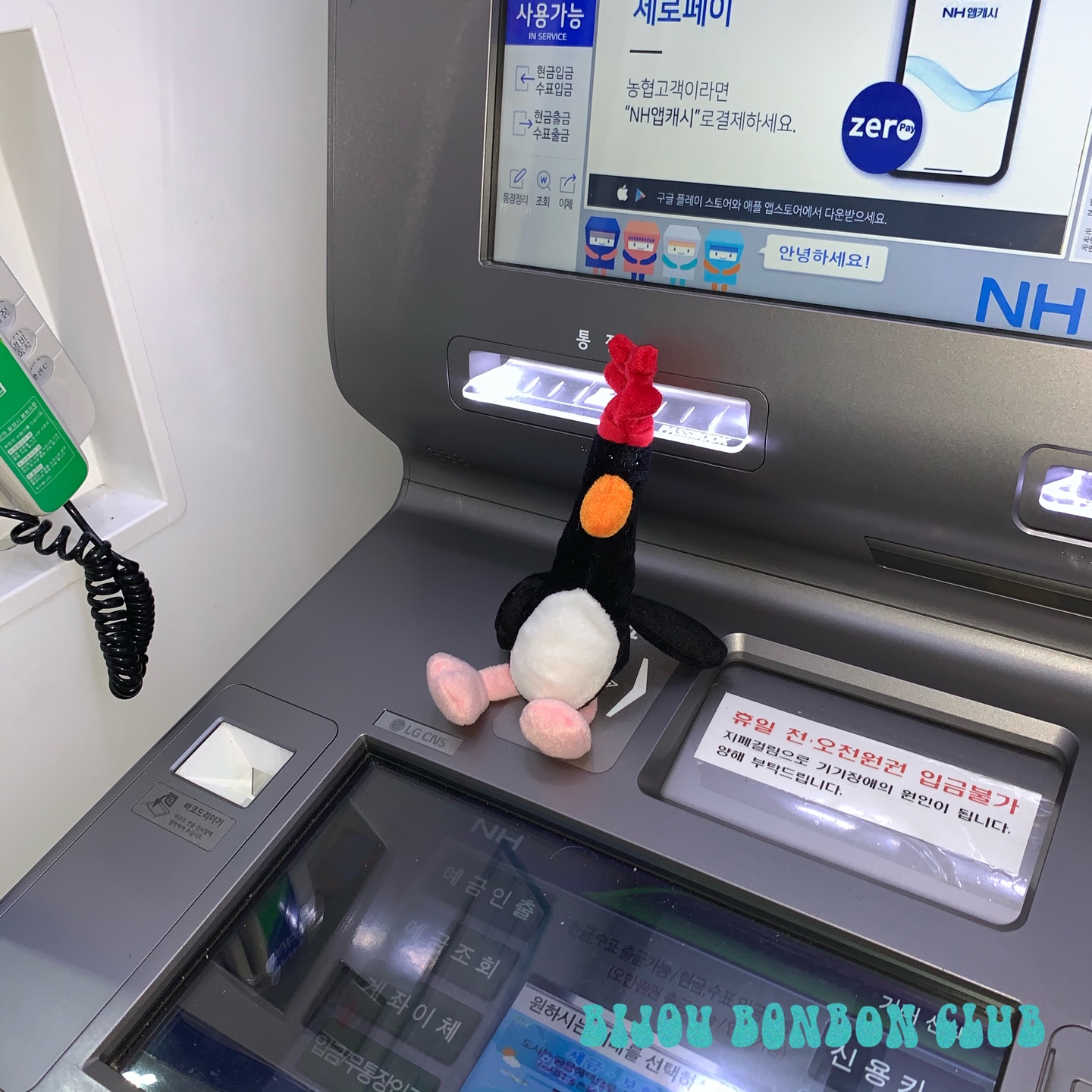 도둑 펭귄