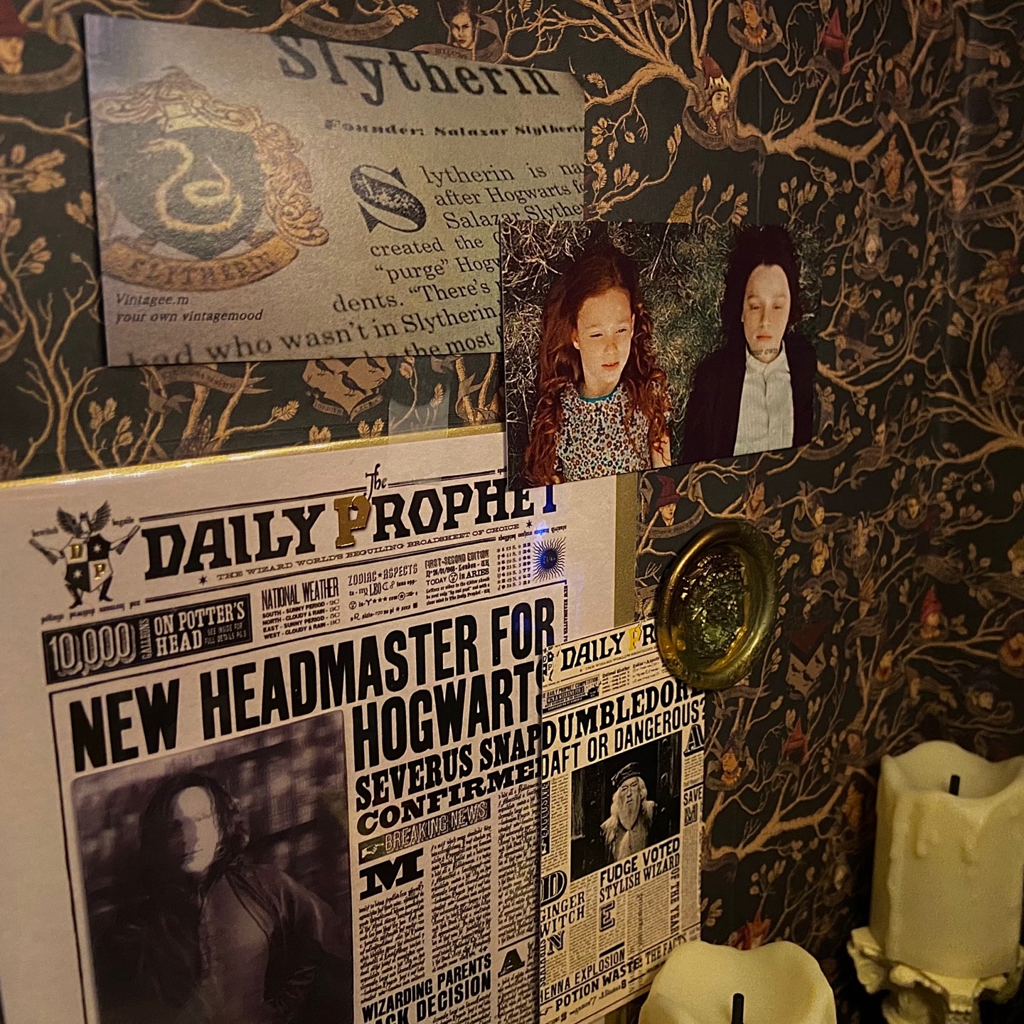 𝑆𝑒𝑣𝑒𝑟𝑢𝑠 𝑆𝑛𝑎𝑝𝑒 
& 𝐿𝑖𝑙𝑦