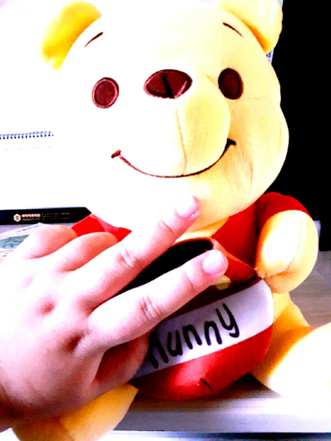 푸 인형