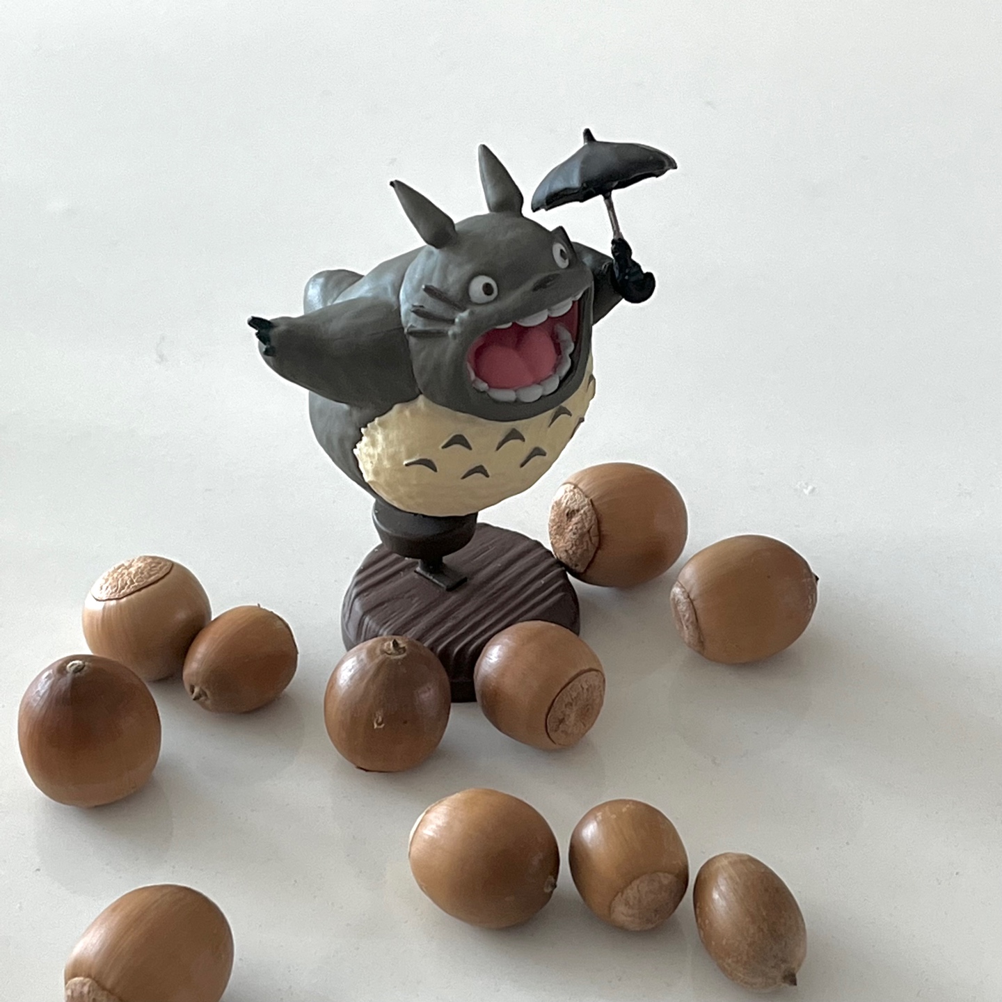 🌰