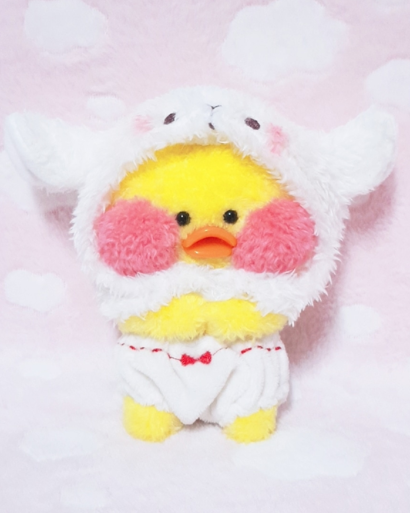 양이덕🐑