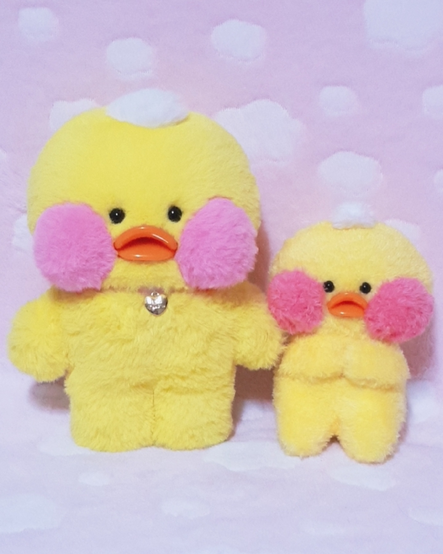 빵빵덕과 꽁냥이덕🐥