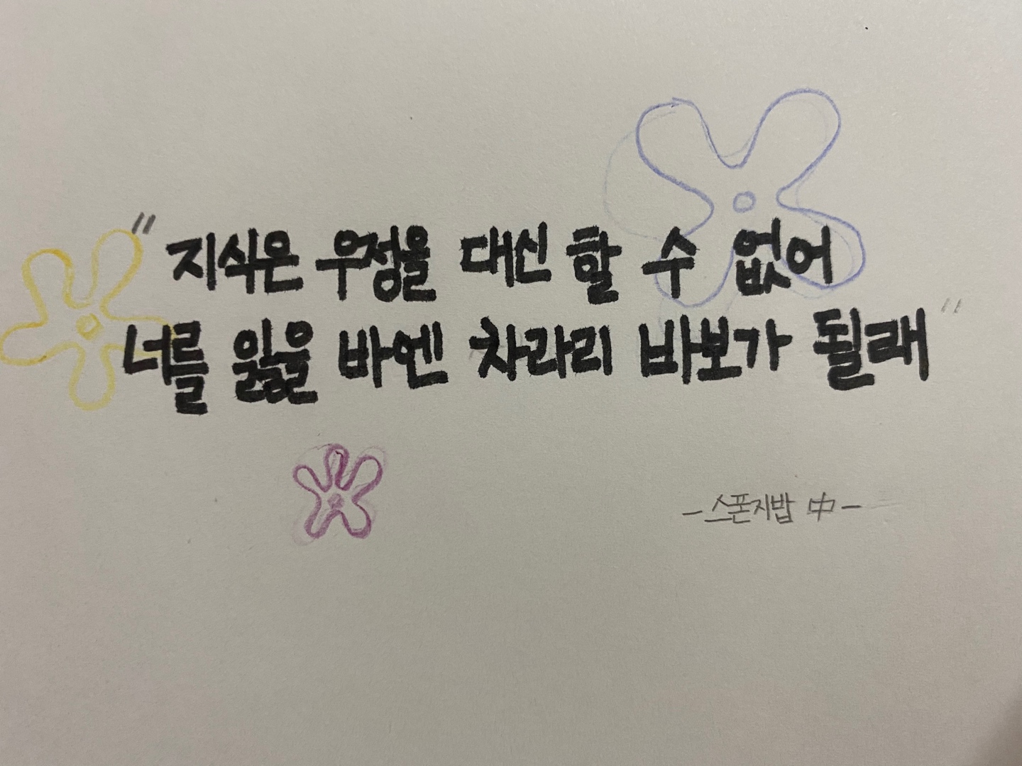 스폰지밥 명언