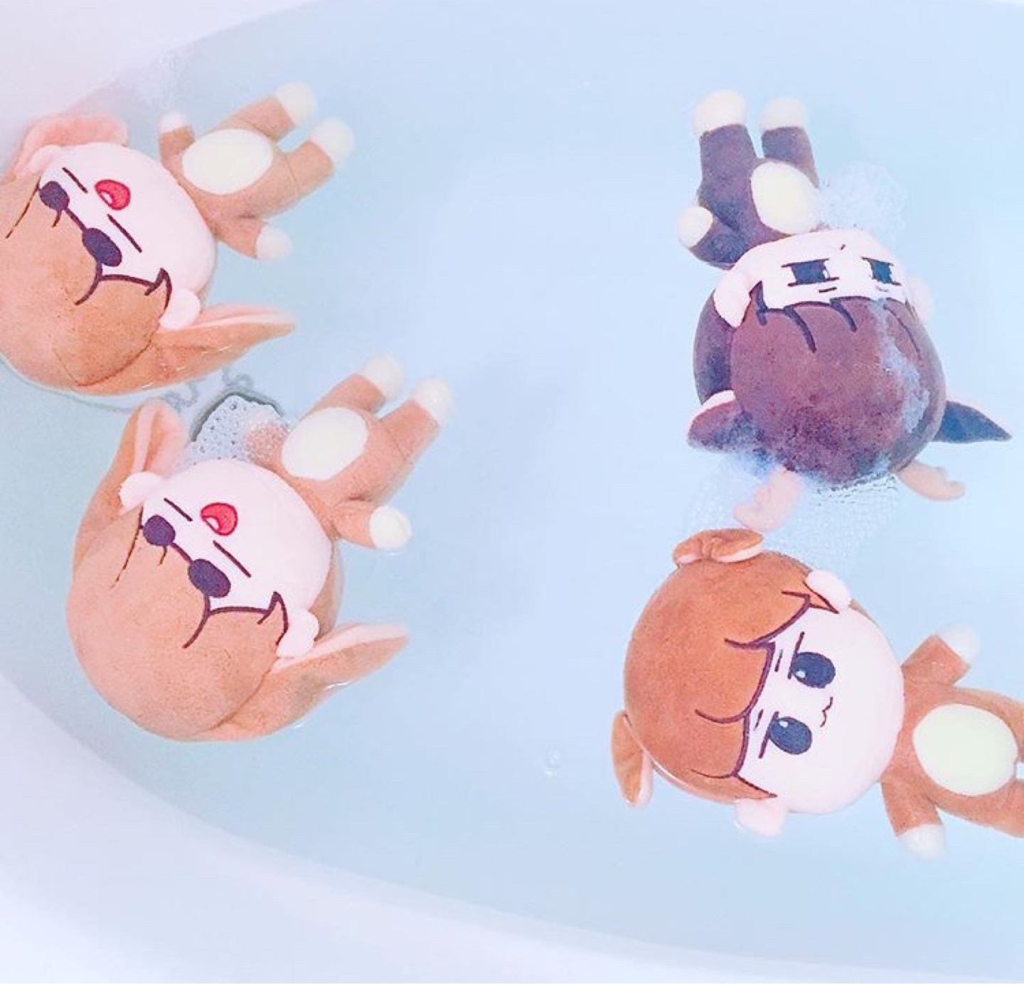 샤이니 인형 샤니멀즈