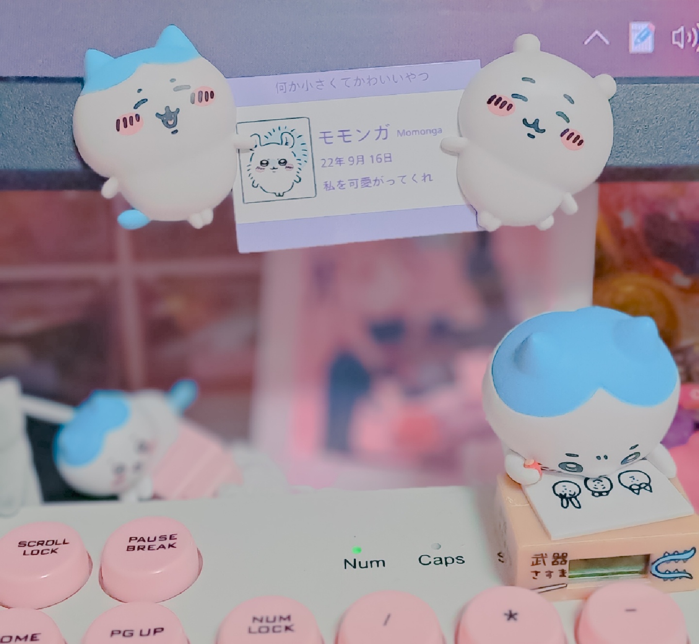 치이카와 마그넷 가챠 !