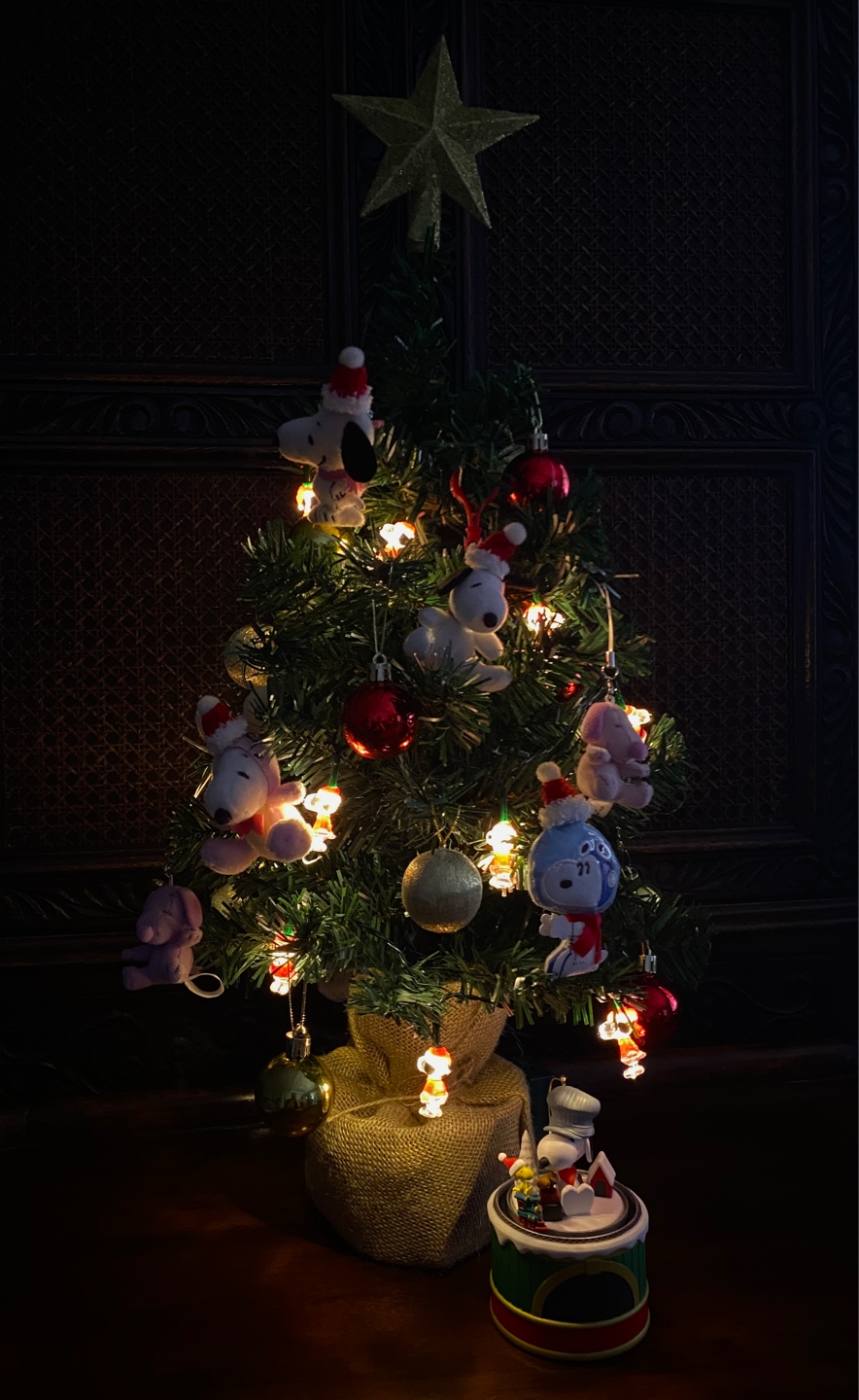 스누피 크리스마스🎄