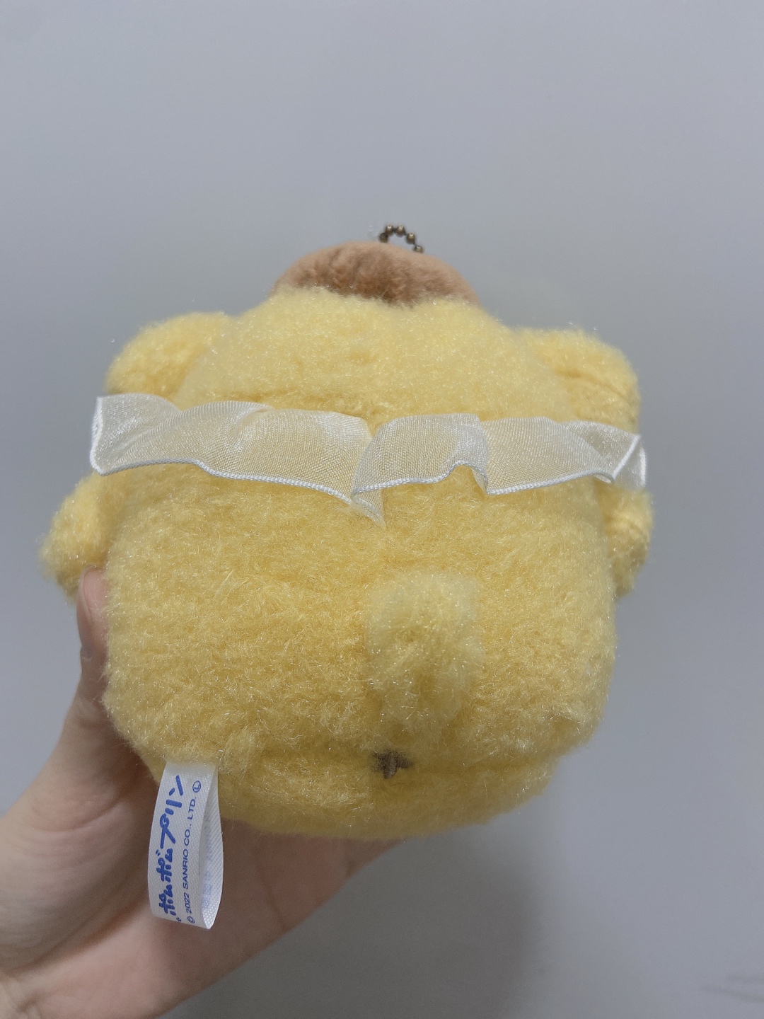 빵실한 뒷모습 넘 귀엽지 않나요?😭
