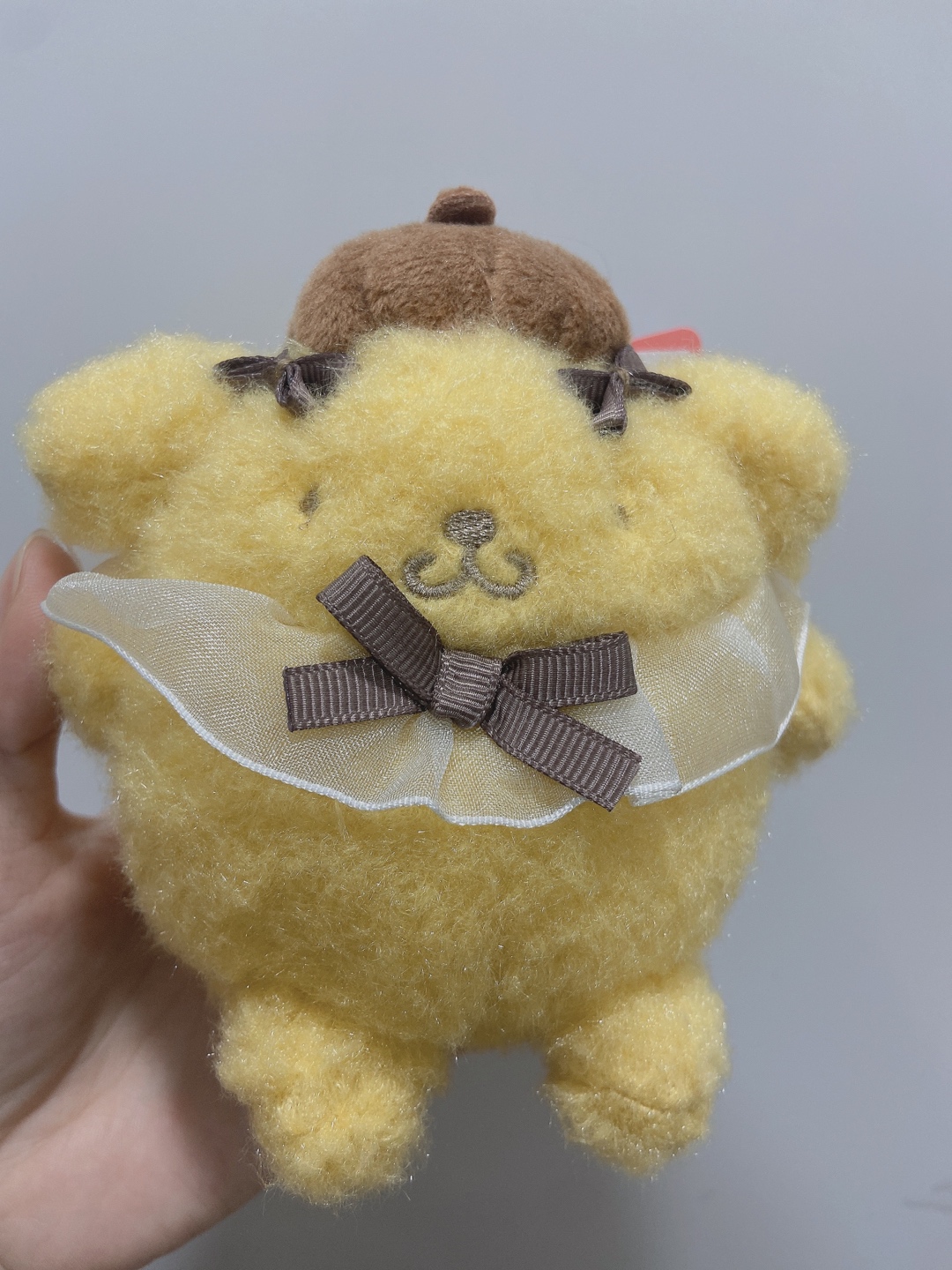 빵실한 뒷모습 넘 귀엽지 않나요?😭