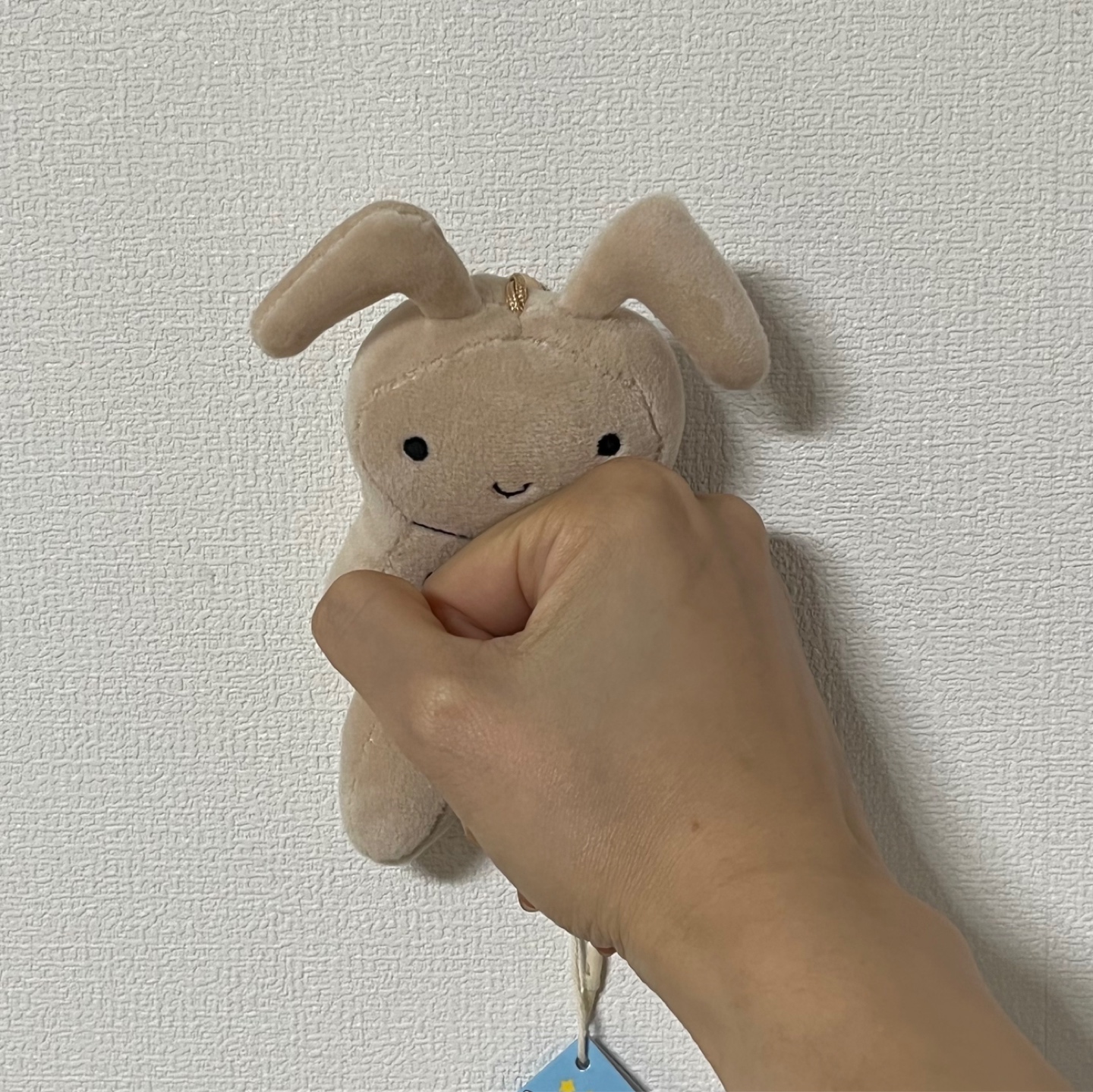 유리 토끼인형🐰