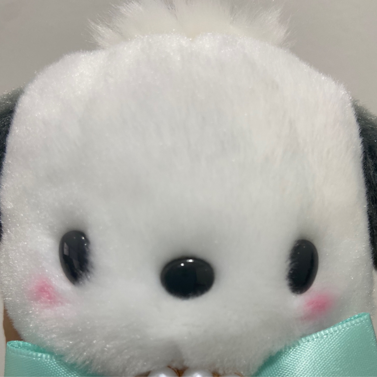 내 귀요미💚💚