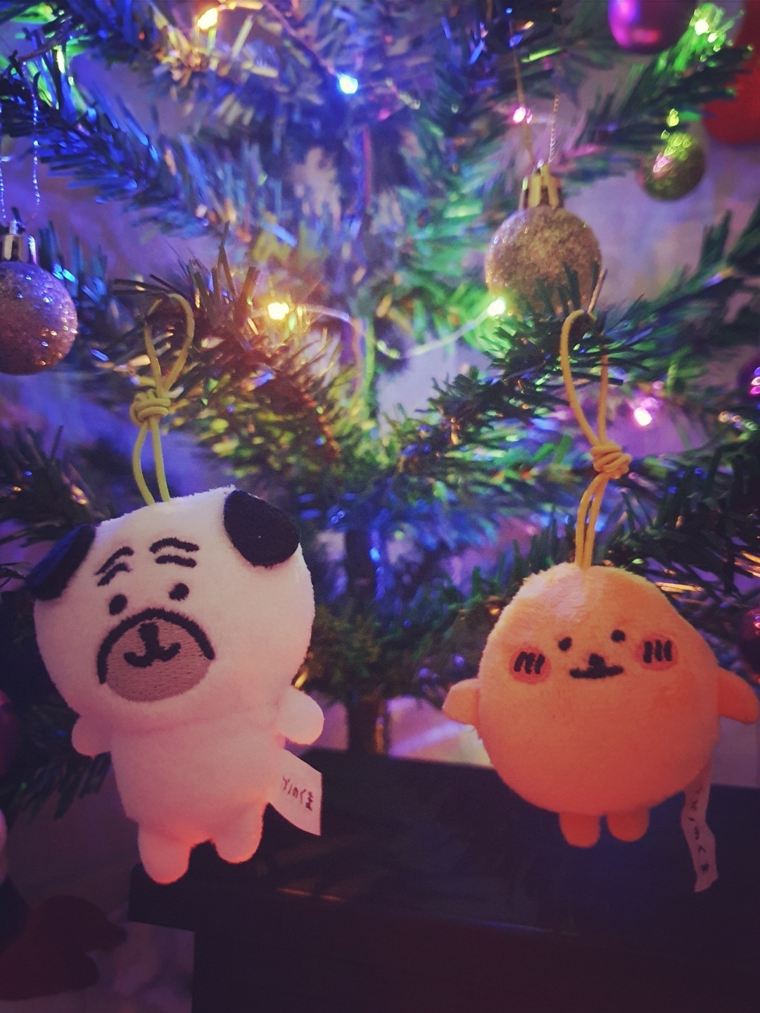 농담곰 친구들🎁