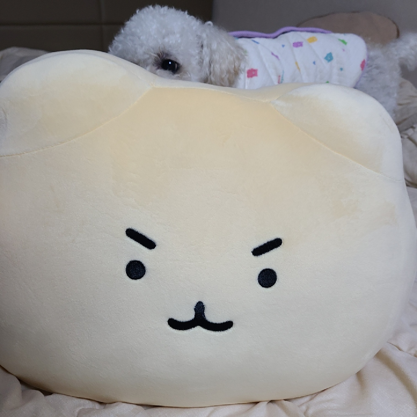 망그러진곰