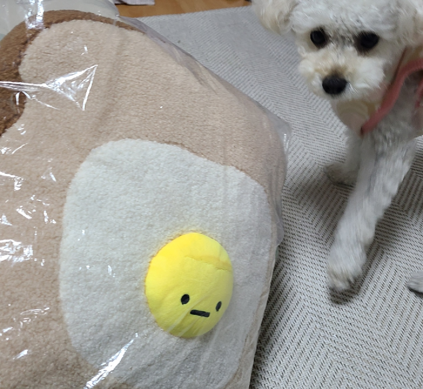토스트 인형
