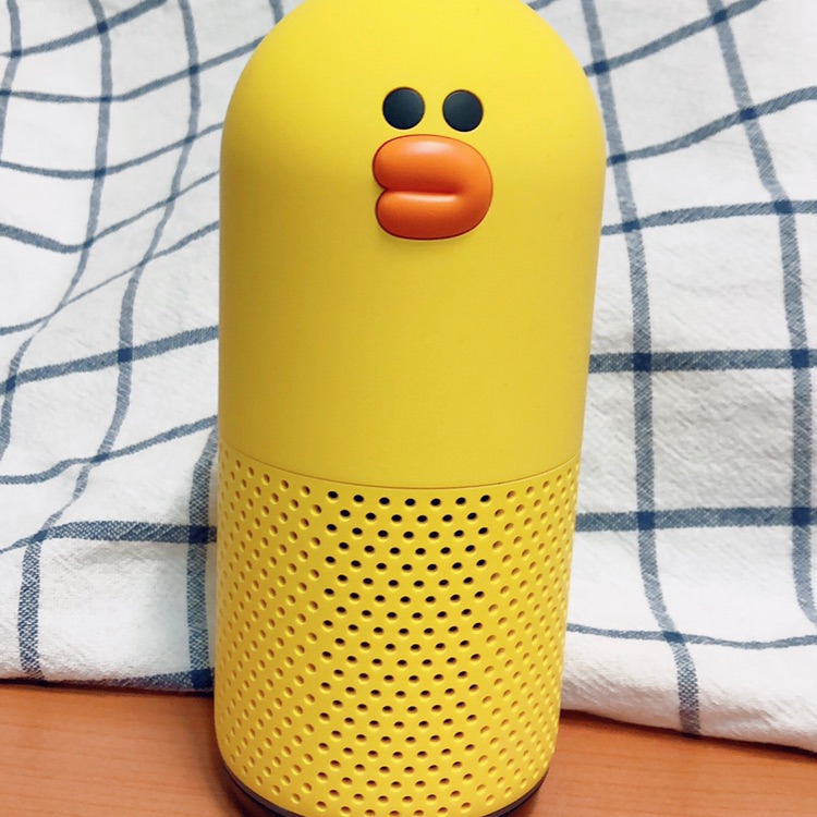 수다쟁이 샐리