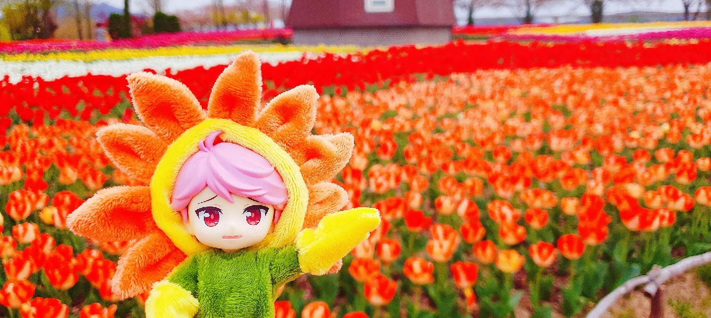 마스코트♡