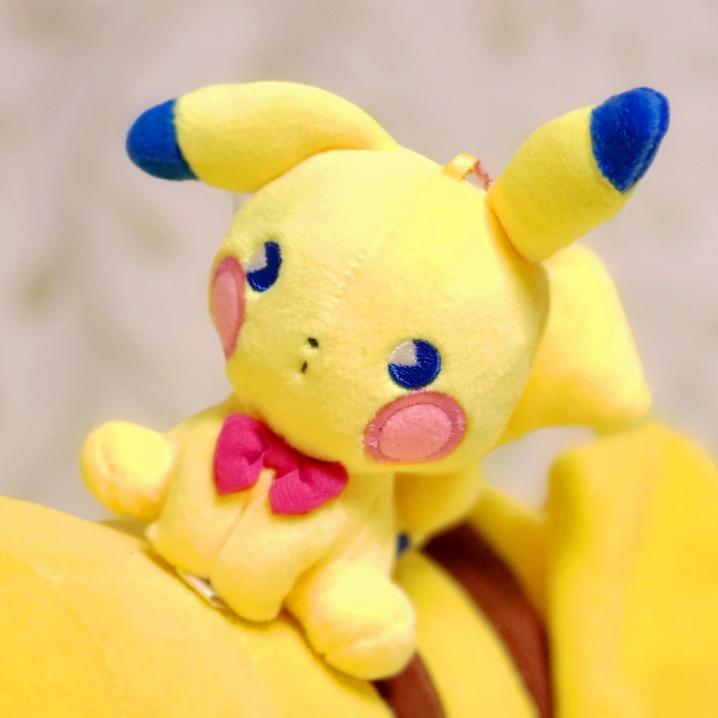 🧸피카츄 인형들🧸