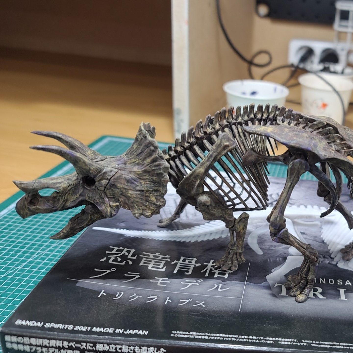 이메지너리 트리케라
fossil diorama