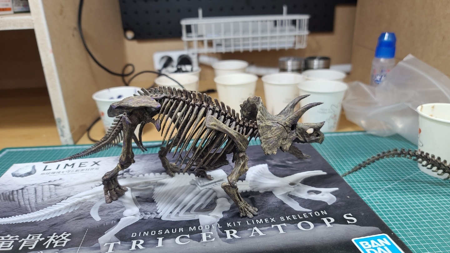 이메지너리 트리케라
fossil diorama