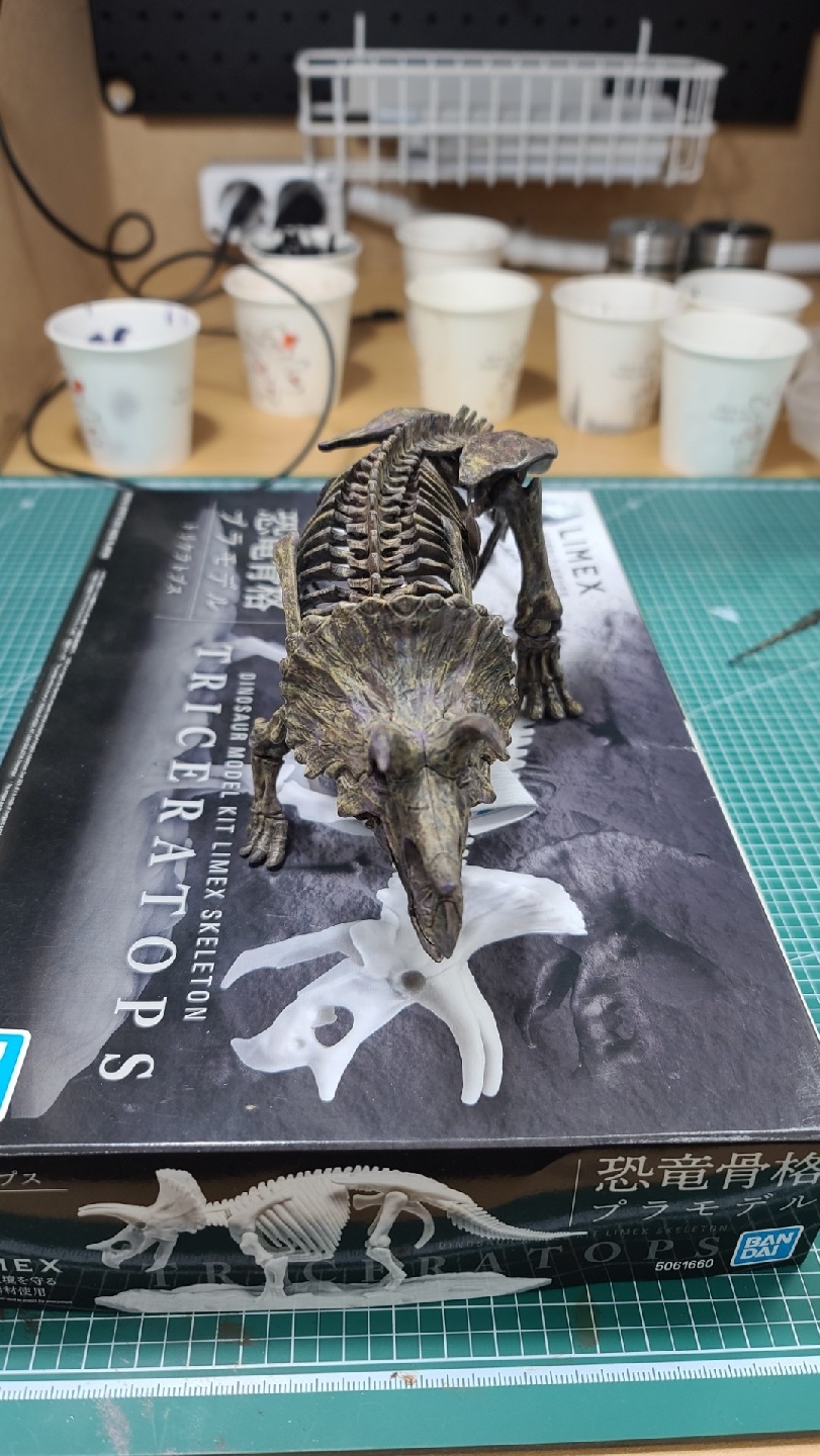 이메지너리 트리케라
fossil diorama