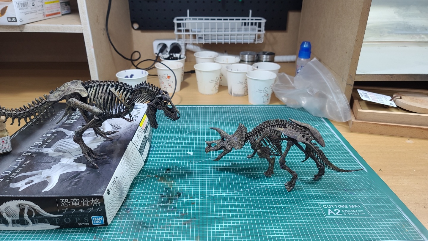 이메지너리 트리케라
fossil diorama