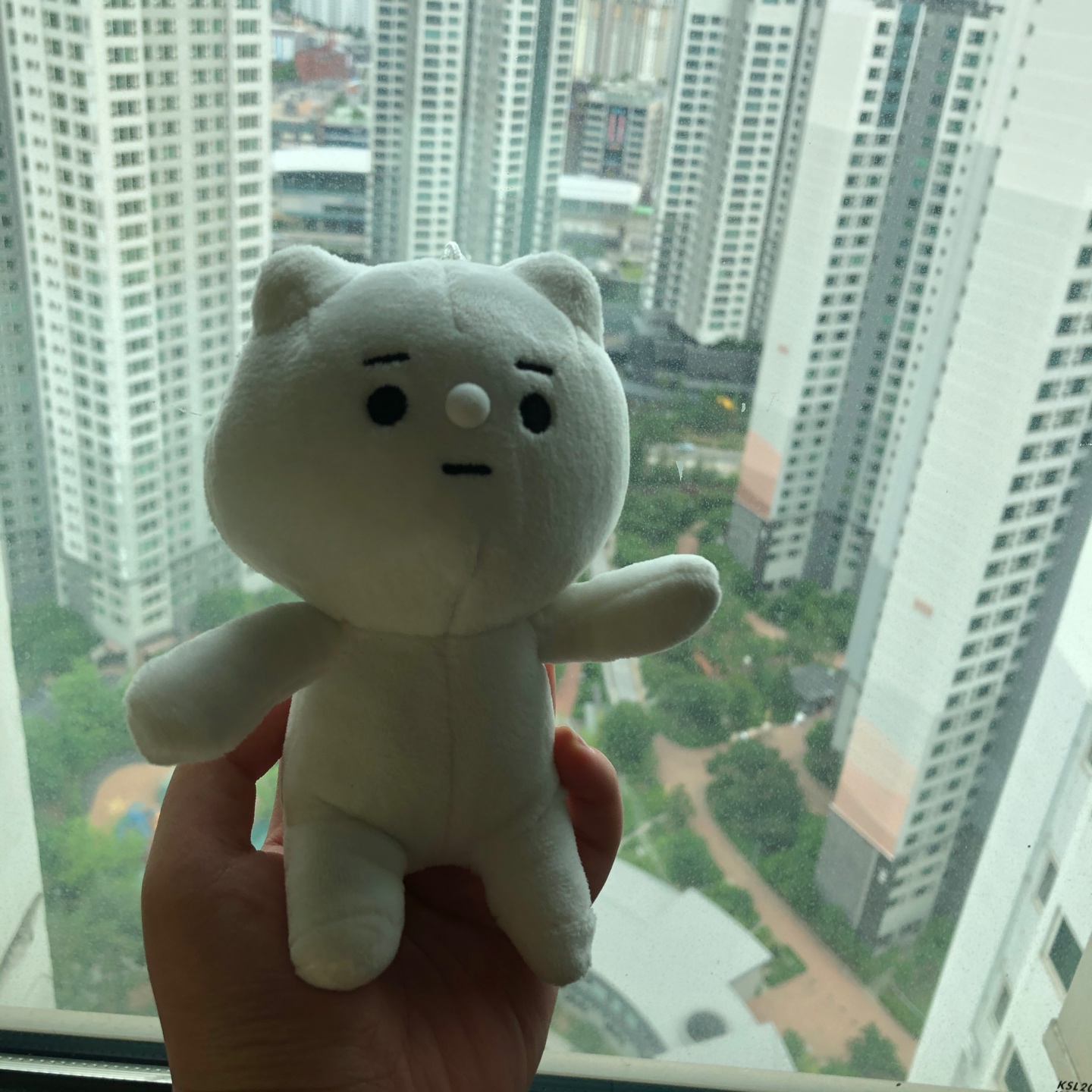 곰돌이